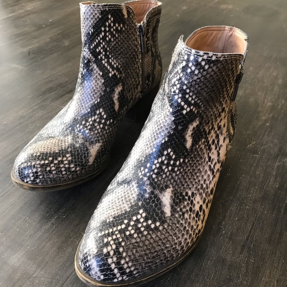 Snake Print Lucky Brand Booties